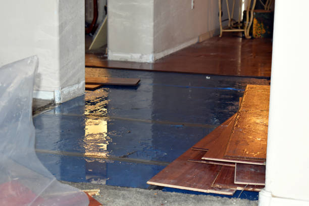Professional Burst Pipe Water Damage technician working in Schwertner, TX